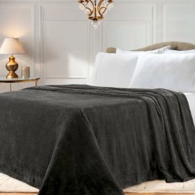 Fleece Plush Medium Weight Fluffy Soft Solid Decorative Blanket (Color: Charcoal, size: Twin)