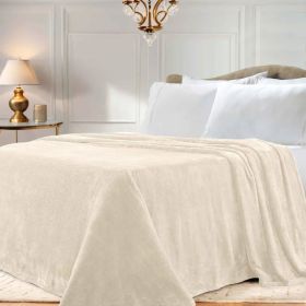 Fleece Plush Medium Weight Fluffy Soft Solid Decorative Blanket (Color: Ivory, size: Throw)